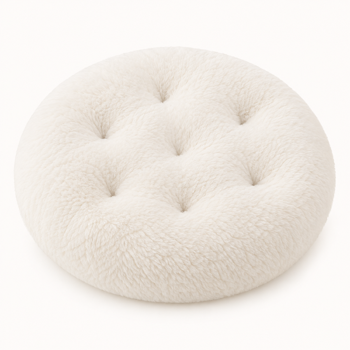 Cozy Cushion